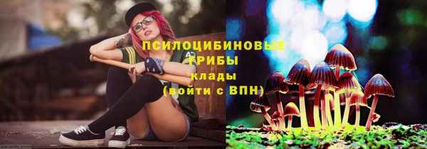 индика Алзамай