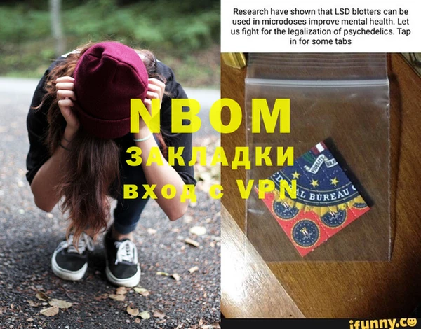индика Алзамай