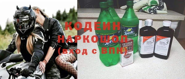 индика Алзамай