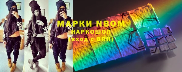 индика Алзамай