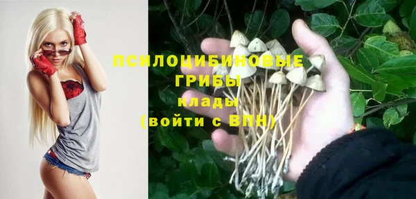 ALPHA PVP Алексин