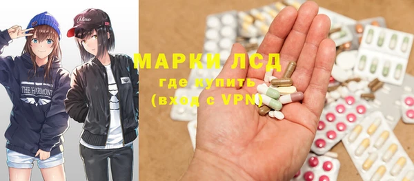 индика Алзамай